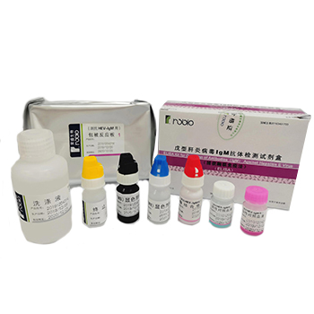 戊型肝炎病毒IgM抗体检测试剂盒 （捕获酶联免疫法）